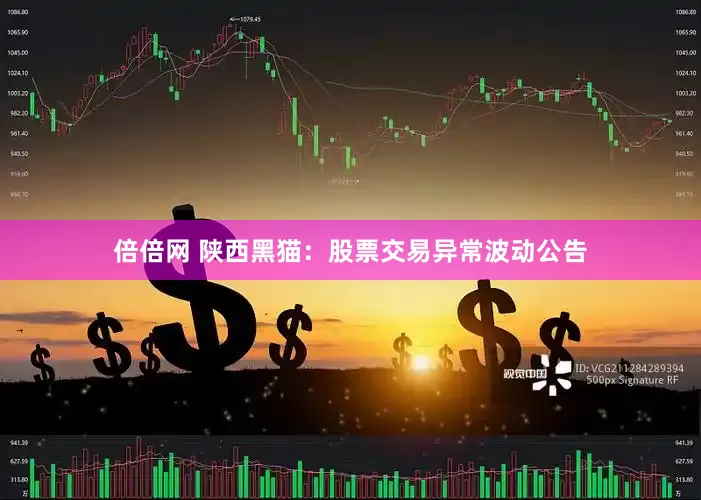 倍倍网 陕西黑猫：股票交易异常波动公告